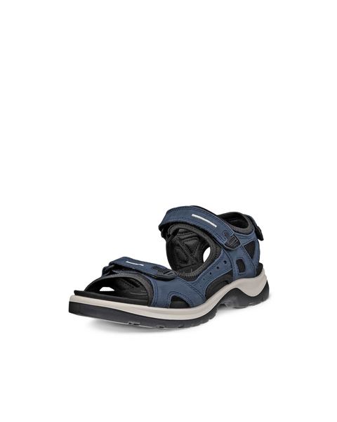 ECCO Offroad Blue