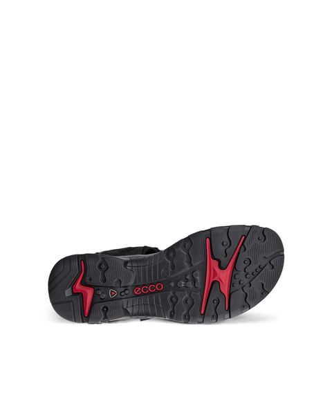 ECCO Offroad Black