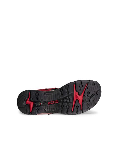 ECCO Offroad Red