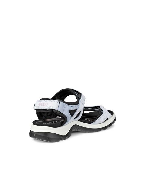 ECCO Offroad Blue