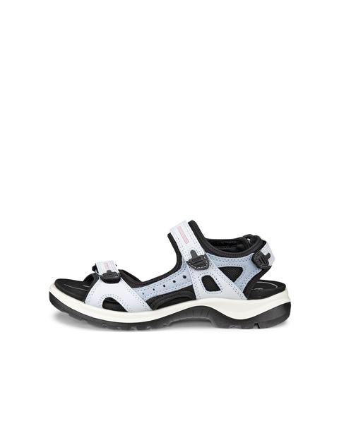 ECCO Offroad Blue