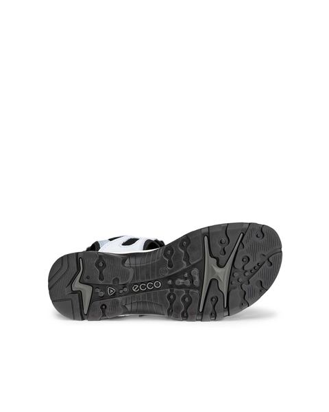 ECCO Offroad Blue