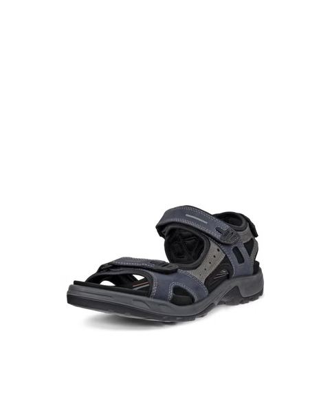 ECCO Offroad Blue