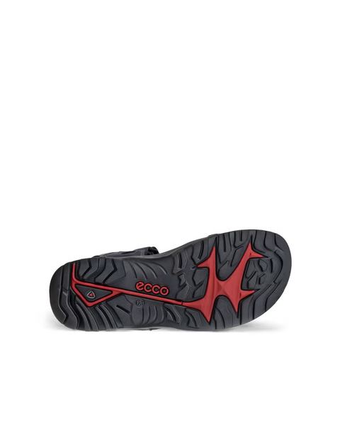 ECCO Offroad Blue