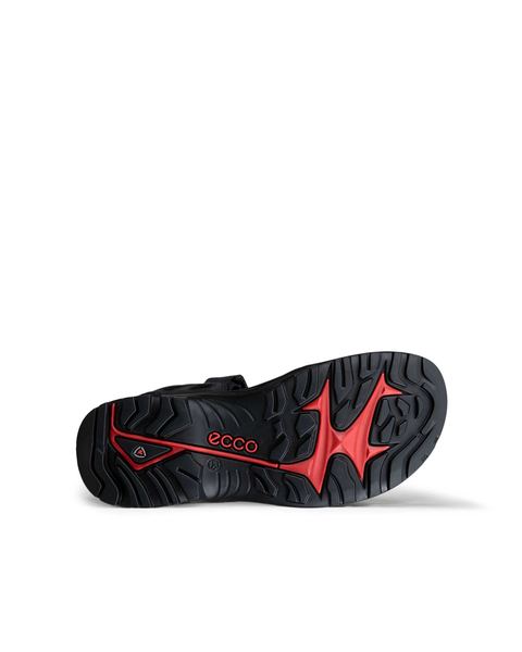 ECCO Offroad Black