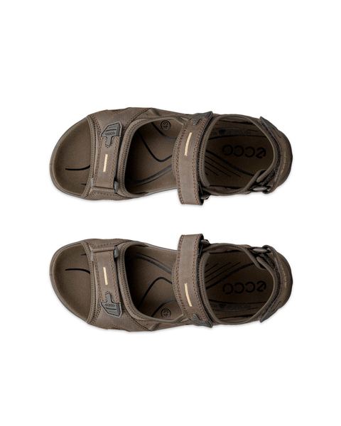 ECCO Offroad Brown