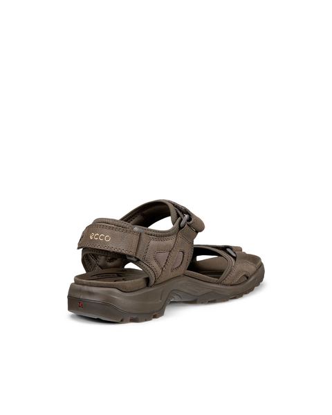 ECCO Offroad Brown