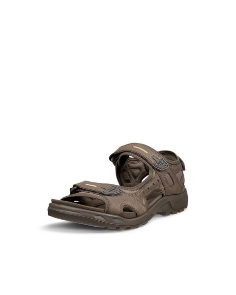 ECCO Offroad Brown