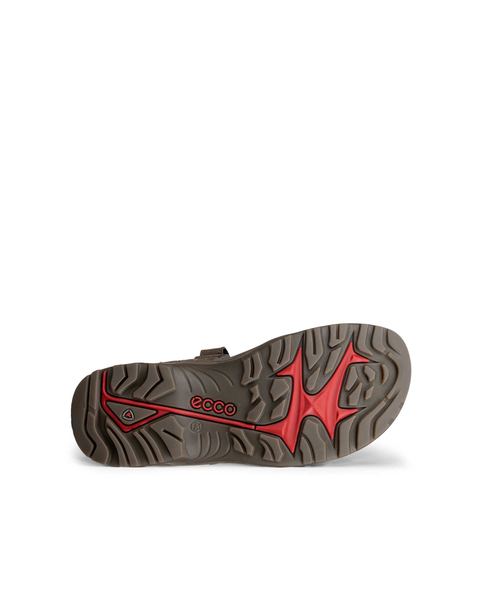 ECCO Offroad Brown