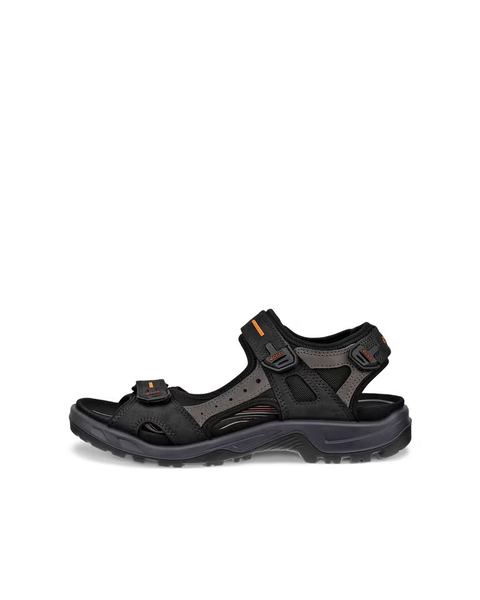 ECCO Offroad Black