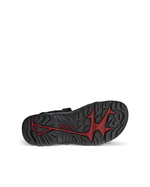 ECCO Offroad Black