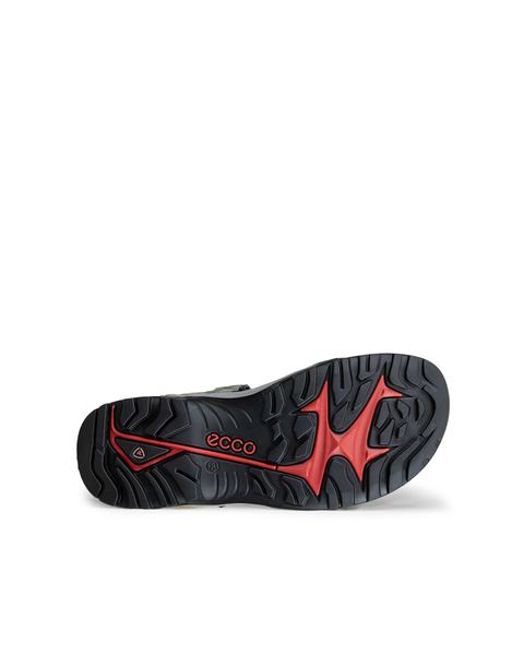 ECCO Offroad Multicolor