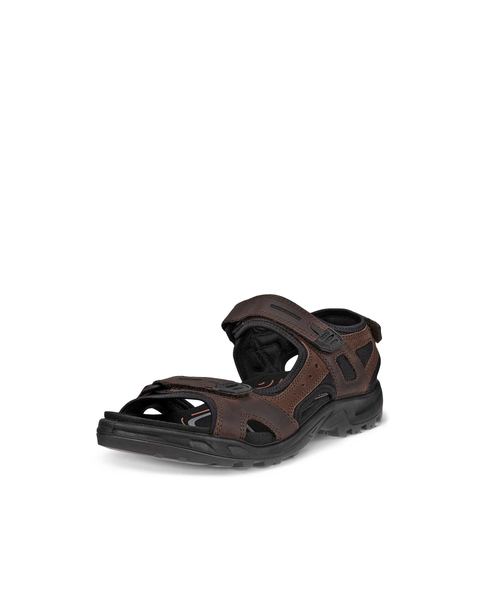 ECCO Offroad Brown