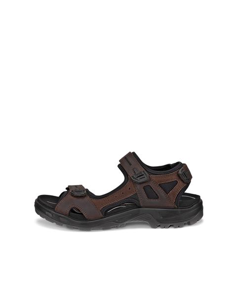 ECCO Offroad Brown