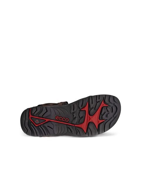 ECCO Offroad Brown