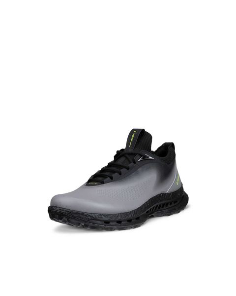 ECCO Golf Biom C5 Gray