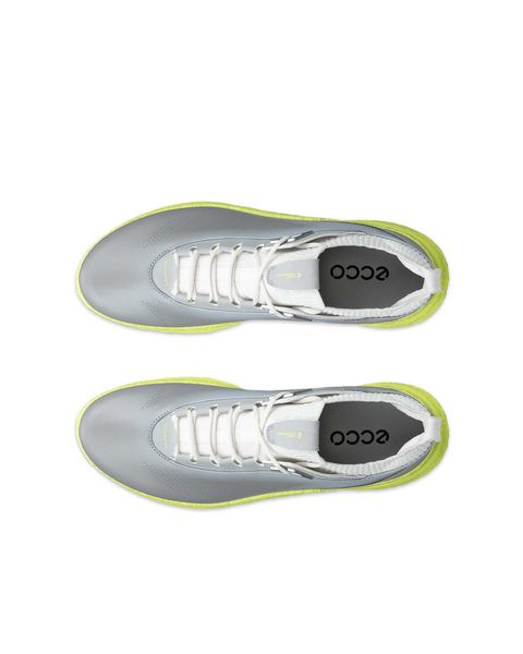 ECCO Golf Biom C5 Gray