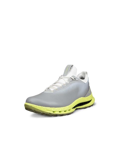 ECCO Golf Biom C5 Gray
