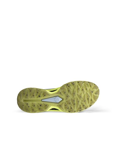 ECCO Golf Biom C5 Gray