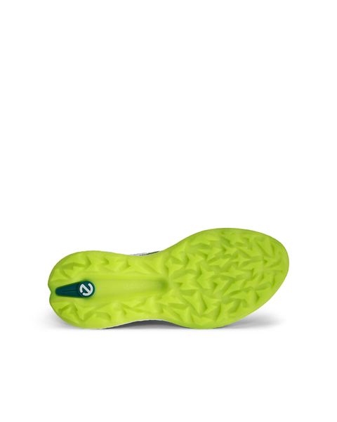 ECCO Golf Biom H5 Green