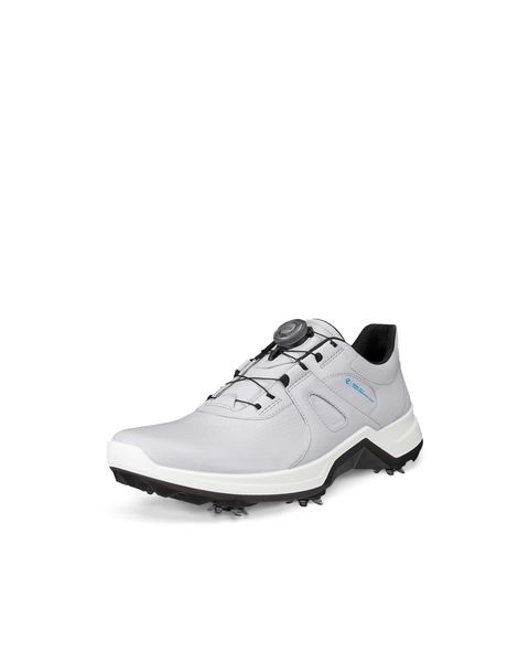ECCO Golf Biom G5 Gray