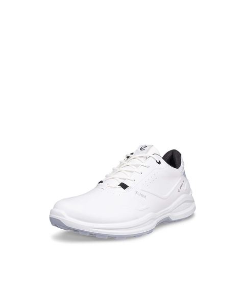 ECCO Golf Biom H6 White