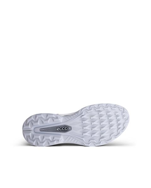 ECCO Golf Biom H6 Blue