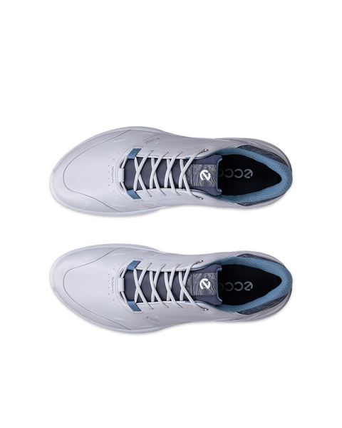 ECCO Golf Biom H6 Gray