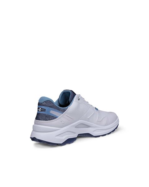 ECCO Golf Biom H6 Gray
