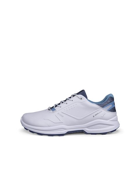 ECCO Golf Biom H6 Gray