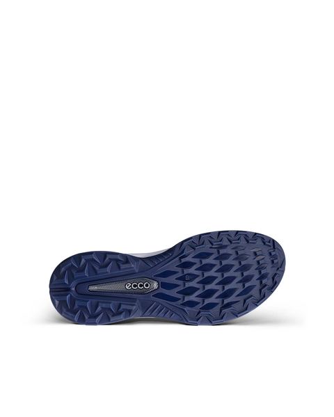 ECCO Golf Biom H6 Gray