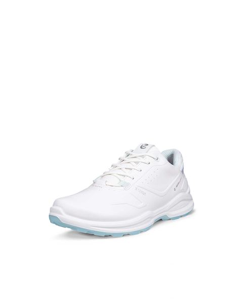 ECCO Golf Biom H6 White