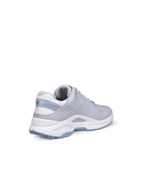 ECCO Golf Biom H6 Gray