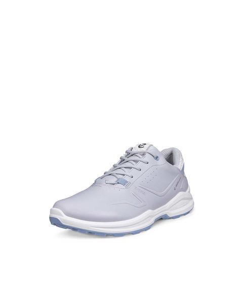 ECCO Golf Biom H6 Gray