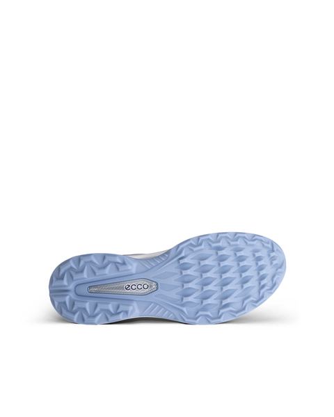 ECCO Golf Biom H6 Gray