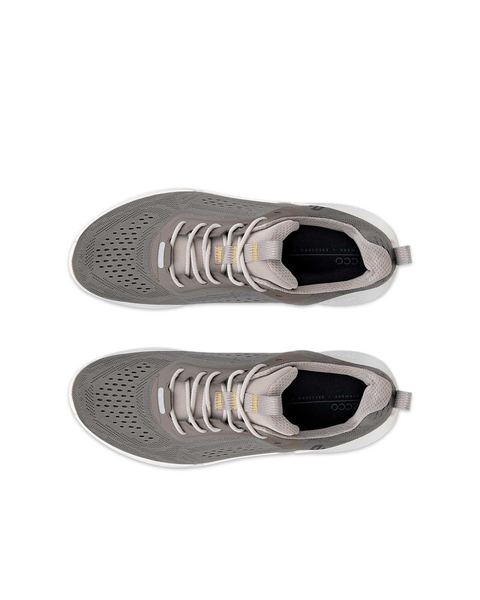 ECCO Biom 2.0 Brown