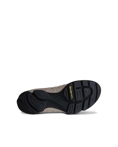 ECCO Biom Aex Gray