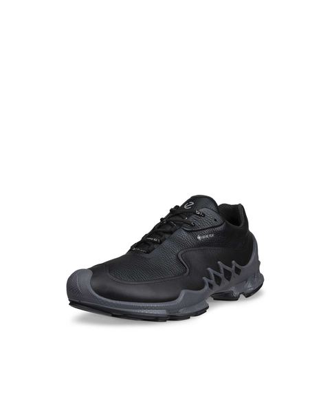 ECCO Biom Aex Black