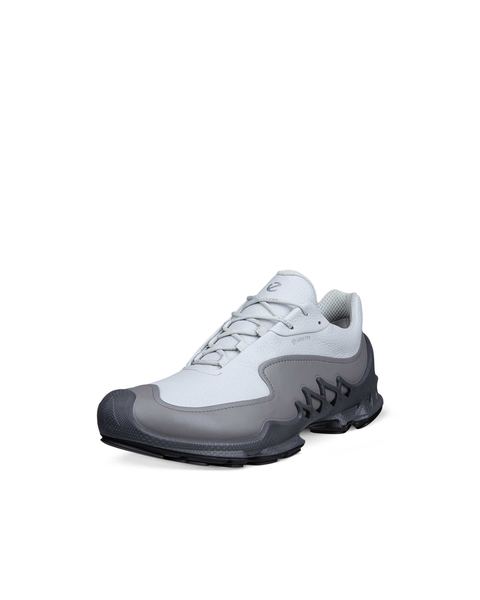 ECCO Biom Aex Gray