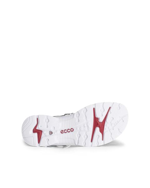 ECCO Offroad Silver