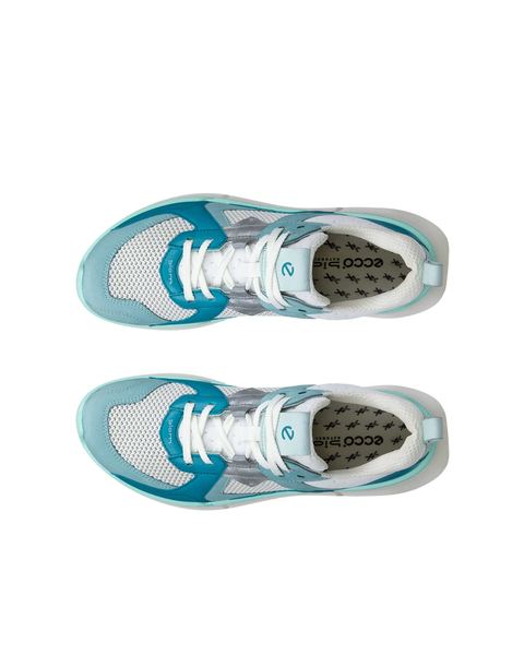 ECCO Biom 2.2 Blue