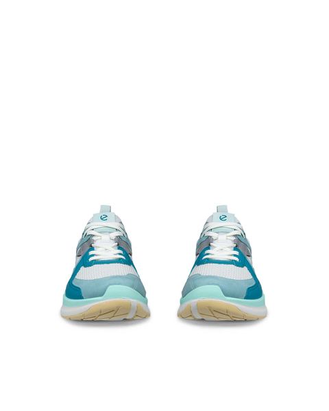 ECCO Biom 2.2 Blue