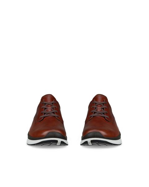 ECCO Biom 2.2 Brown