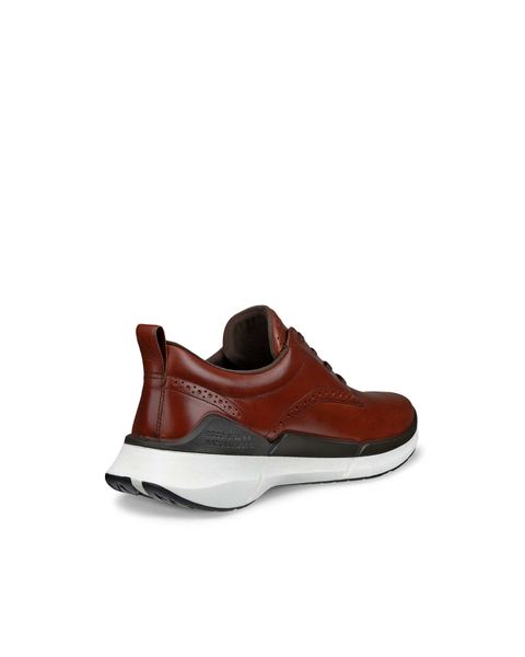 ECCO Biom 2.2 Brown