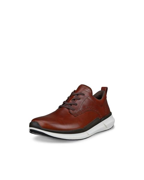 ECCO Biom 2.2 Brown