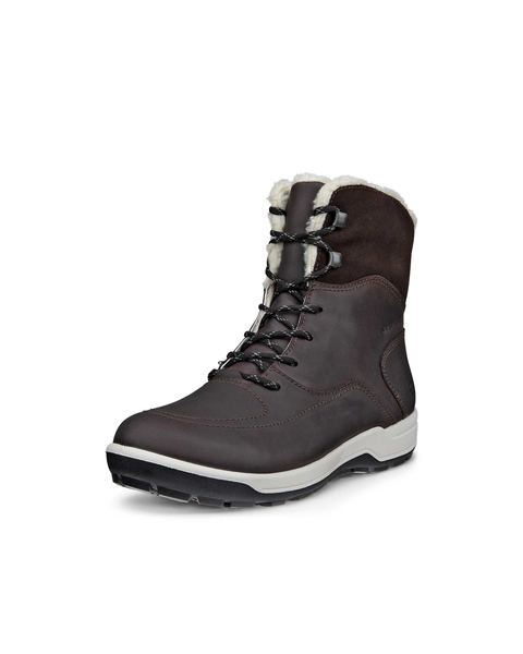 ECCO Trace Lite Brown