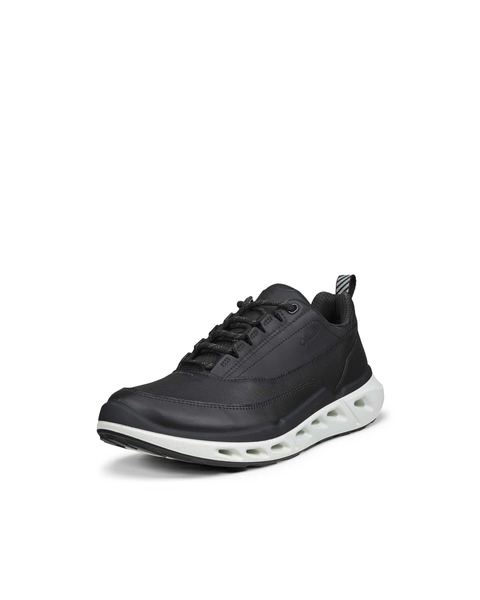 ECCO Biom 720 Gore-Tex Black