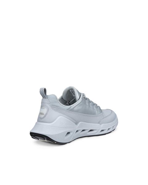 ECCO Biom 720 Gore-Tex Gray