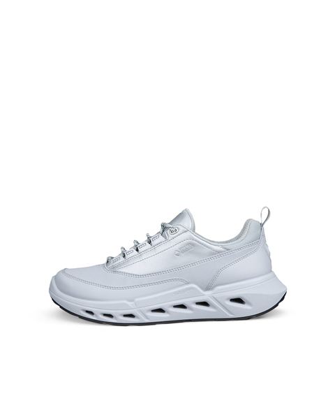 ECCO Biom 720 Gore-Tex Gray