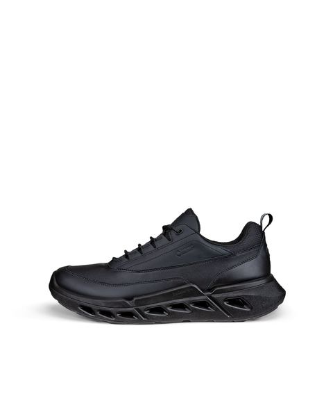 ECCO Biom 720 Gore-Tex Black